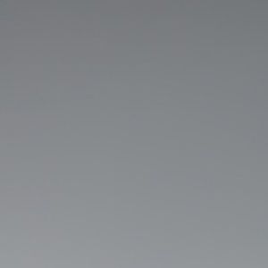 Meet your Posher, Amya